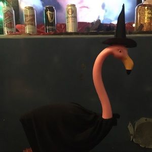 Meet your Posher, Makay